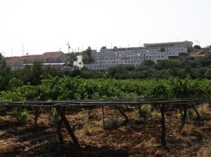 Farm and the settlement in the background